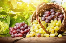 تناول العنب يحسن الرؤية لدى كبار السن