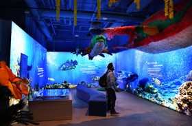 القمر المتحدة تستعرض عبر جناجها في إكسبو دبي الفرص الواعدة لمستقبلها المستدام