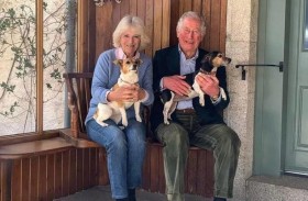 استبدال كلاب كورغي بـ جاك راسل في قصر باكنغهام