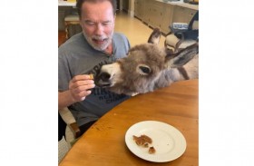 شوارزينيغر يحتفل بعيد ميلاد لولو 