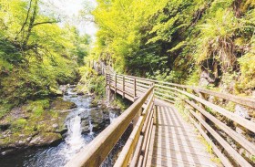 أطول ممشى في دبلن يصبح مقصداً سياحياً