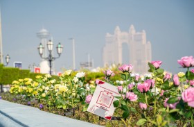 بلدية مدينة أبوظبي تنجز تركيب إنارة تجميلية تعمل بالطاقة الشمسية في ممشى الكاسر- الكورنيش كمشروع تجريبي