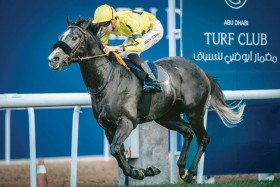 98 خيلاً تتنافس في السباق الـ13 على مضمار أبوظبي اليوم
