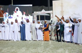 «محارب الخزنة» يخطف الأضواء في اليوم الثالث لدولية أبوظبي لجمال الخيل العربية