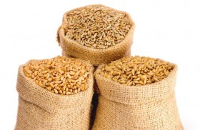 حبوب الشعير المعالجة أكثر الأطعمة فائدة للقلب