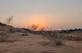 21 يونيو بداية فصل الصيف فلكياً