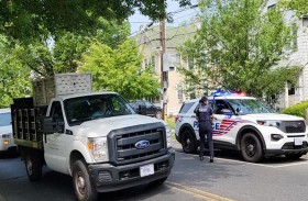 دب ينهي حياة أميركي بطريقة مأساوية