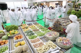 مهرجان الذيد للرطب .. منصة لدعم صناعات الأسر المنتجة وإحياء مهن الآباء والأجداد