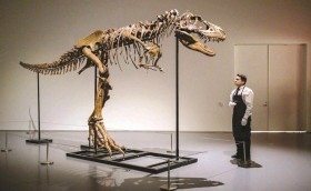 6 ملايين دولار.. ثمنا لهيكل عظمي لديناصور 