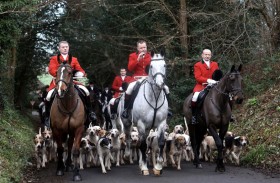 صراع في الريف الإنكليزي حول صيد الثعالب 