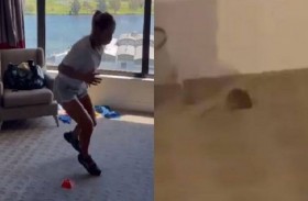 فأر في غرفة بوتينتسيفا في الحجر الصحي 