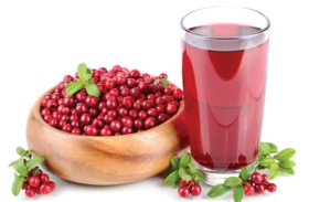 مشروب التوت