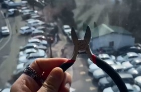 تقطع 6 آلاف ميلا لكسر قفل حب خطيبها