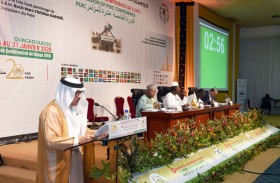 الشعبة البرلمانية الإماراتية تدين التدخل في الشؤون الداخلية للدول الإسلامية