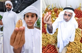 سما دبي تواكب دبي للرطب بحلقات خاصة وتقارير مميزة