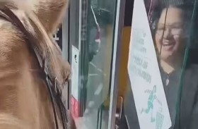 تطلب وجبة ماكدونالد على ظهر حصان