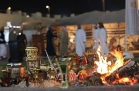 مكشات الظفرة تجسد جوانب من الحياة البرية في الدولة