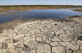 الجفاف يستنزف احتياطيات المياه في تكيرداغ بتركيا