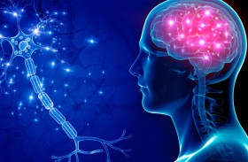 ماذا يحدث داخل دماغك عندما تقرأ؟.. دراسة تكشف أسراراً مذهلة