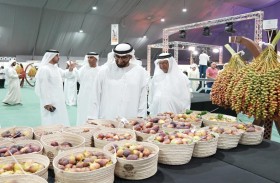 رئيس هيئة أبوظبي للتراث: ليوا للرطب منصة وطنية لترسيخ مفهوم الاستدامة في الدولة