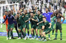 استعادة الشارقة للصدارة وصحوة عجمان وخسارة شباب الأهلي أبرز أحداث الجولة 12 من دوري أدنوك للمحترفين