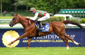 الإعلان عن أجندة سباقات النسخة 29 من كأس رئيس الدولة للخيول العربية الأصيلة