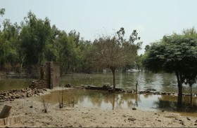 فيضانات باكستان تضر بالحقول والمصانع والخطط المالية 