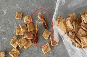 مفاجأة قاسية داخل علبة المقرمشات