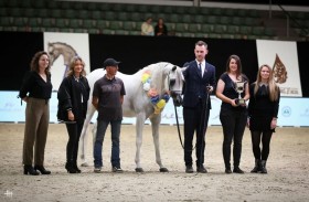 مربط الريماس ينتزع فضيتين ثمينتين في كأس ولي العهد ببطولة بلجيكا لجمال الخيول العربية 2022