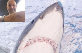 يهزم قرشاً عملاقاً