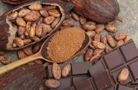 الكاكاو يقلل ضغط الدم وتصلب الشرايين