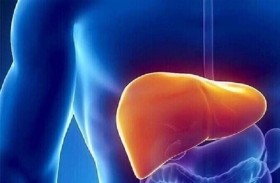 اكتشاف مركب قادر على علاج تلف الكبد