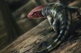 اكتشاف آثار متحجرة تغير تاريخ نشأة بعض المخلوقات