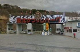 أسد ينهي حياة عامل بحديقة حيوان