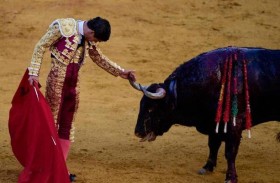 كولومبيا تحظر مصارعة الثيران 