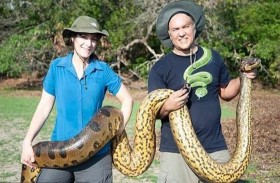 اكتشاف نوع جديد من الأناكوندا العملاقة 