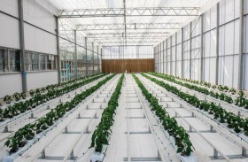 التربية توقع مذكرة تفاهم مع «الزراعة والسلامة الغذائية»  لتطوير مناهج أكاديمية العلوم الزراعية