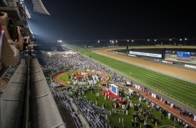 385 ألف درهم جوائز ترشيحات الجماهير في كأس دبي العالمي للخيول