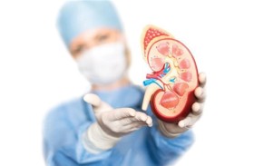 علماء ينجحون في تغيير فصيلة دم كلى 