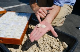 اكتشاف كنز تحت مدرسة