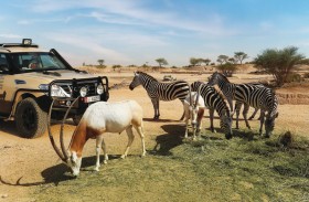 حديقة الحيوان بالعين تستثمر وترشد ثروتها النباتية بمبادرات وإنجازات مستدامة