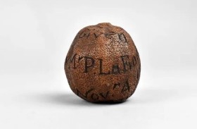 ليمونة عمرها 285 عاماً تباع بـ1700 دولار