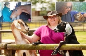 تستقيل من عملها لتتحدث مع الحيوانات