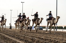 مركز حمدان بن محمد لإحياء التراث  يختتم موسماً حافلاً بالإنجازات