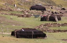 «البدو الرحل».. حكاية أول المصوتين في الانتخابات بالجزائر