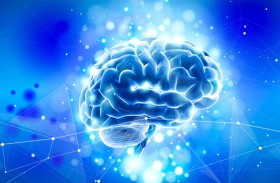 كيف يتفوق الدماغ على الذكاء الاصطناعي؟