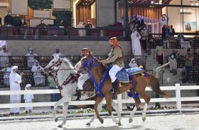 بطولة أبوظبي الدولية لجمال الخيل تنطلق اليوم