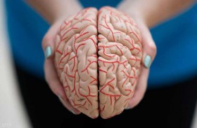 وصفة سهلة وسحرية لذاكرة أفضل