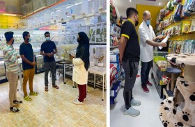 بلدية مدينة أبوظبي تنفذ حملة توعوية لزيارة 65 محلاً لبيع الحيوانات الأليفة والطيور وأسماك الزينة