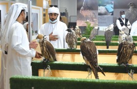 معرض أبوظبي الدولي للصيد يُطلق نسخة ثانية من مُسابقة «أجمل برقع للصقور»